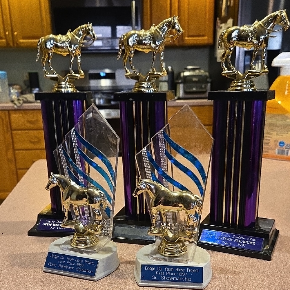 Vintage Elegant Gold Horse Trophy Set